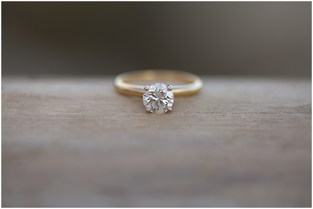Annie + Rae's Engagement Session | White Rock Pier